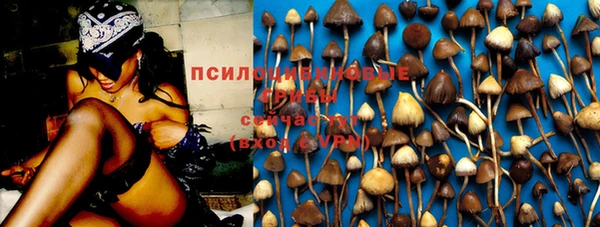 спайс Заволжск