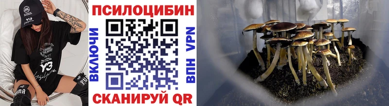 Купить закладки  Змеиногорск  Галлюциногенные грибы мухоморы 