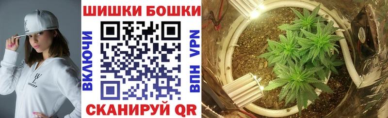 Бошки Шишки Amnesia  Купить  Змеиногорск 
